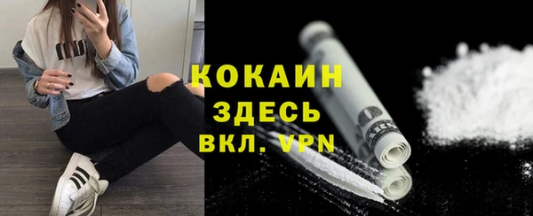 прущие грибы Волоколамск