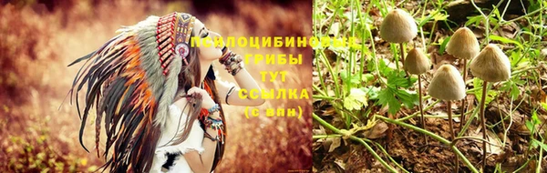 твердый Володарск