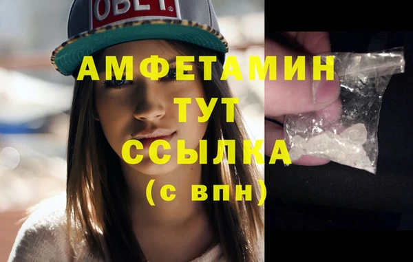 твердый Володарск